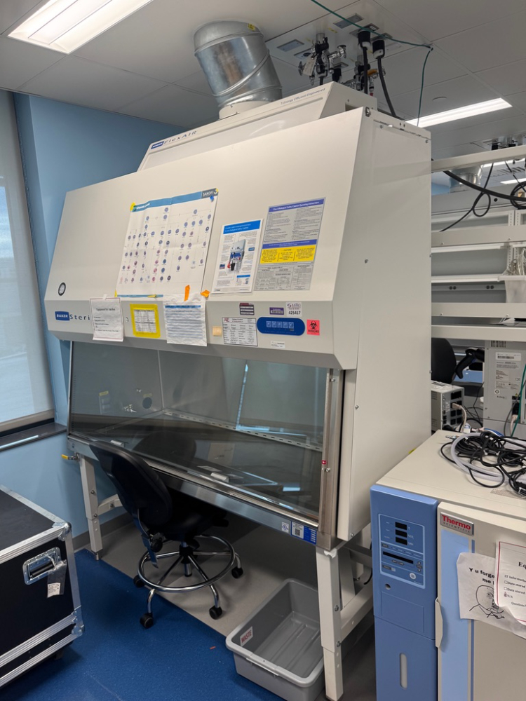 Image of Baker Sterilgard SG604 6' Biosafety Cabinet